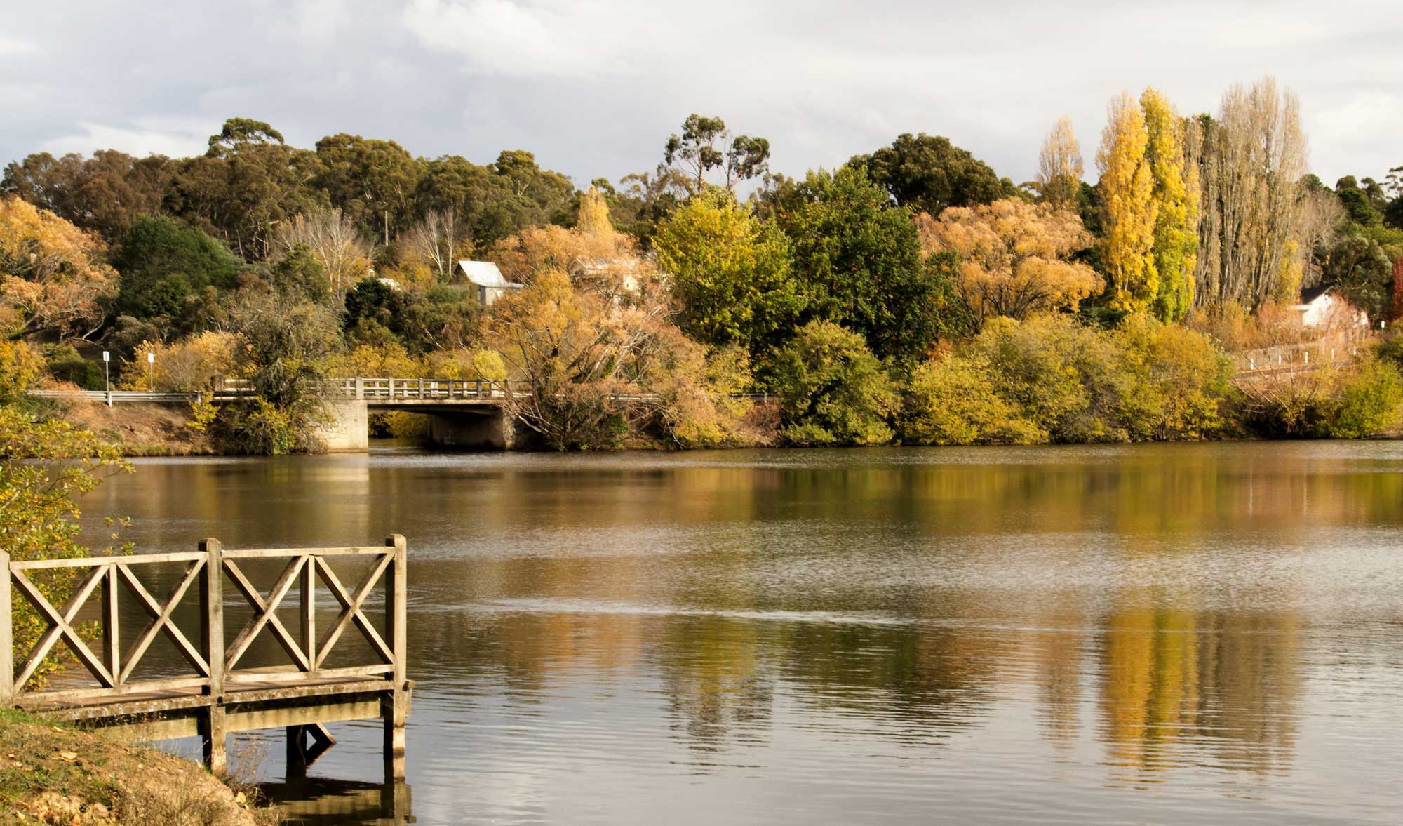 autumn daylesford lake victoria australia